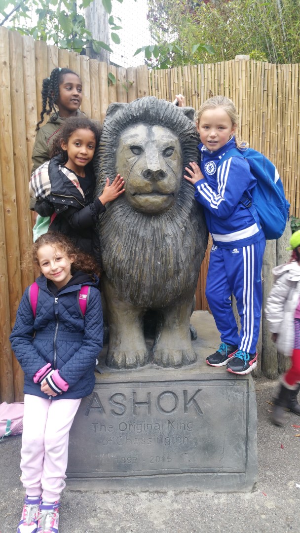 20161027 152656 (Large)